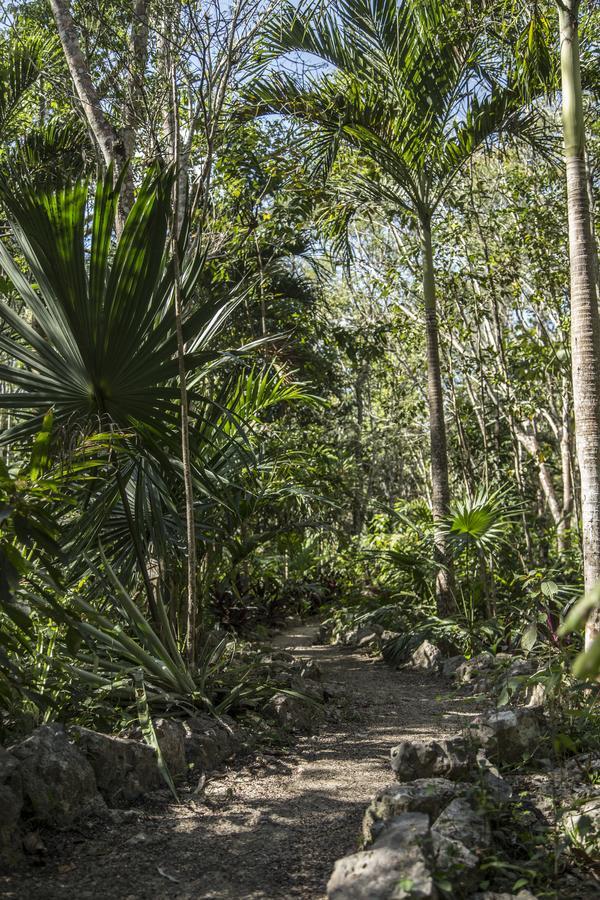Bed & Breakfast La Selva Mariposa *