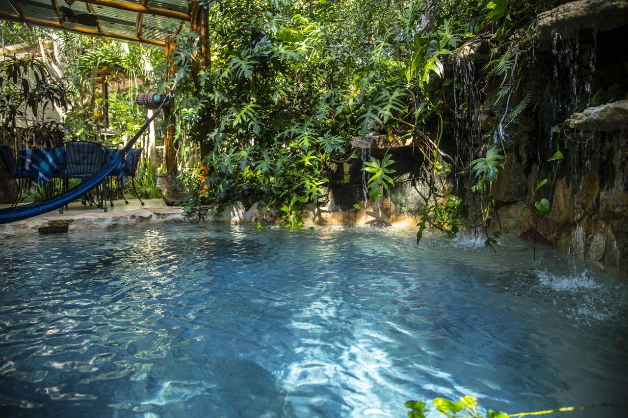 Bed & Breakfast La Selva Mariposa *