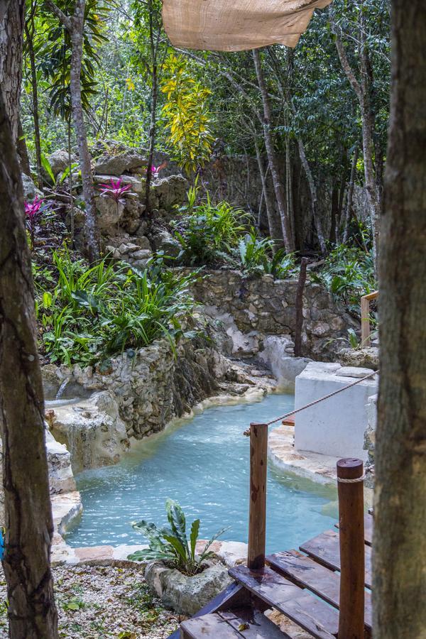 Bed & Breakfast La Selva Mariposa *